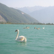 Кто живет в Италии возле озера Комо! группа в Моем Мире.