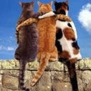 $$$ЖИТЬ значит ДРУЖИТЬ$$$ группа в Моем Мире.
