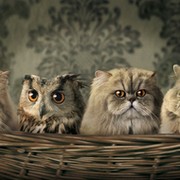 qwerty test группа в Моем Мире.