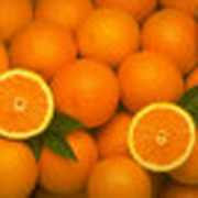 Жизнь в апельсиновом цвете. группа в Моем Мире.