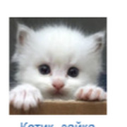 Котик- зайка on My World.