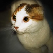 Апполинария _____ on My World.