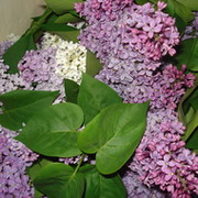 Сергей Кузло on My World.