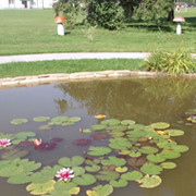 Лариса Хохлунова on My World.
