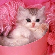 Наталья Седунова on My World.