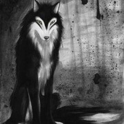 ~}{~ ShaDoW ~}{~ on My World.