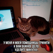 Алексей Санкин on My World.