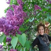 TATYANA .Клондайк. on My World.