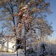 Алексей Андрущак on My World.