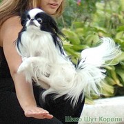 Людмила Желонина on My World.