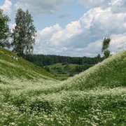 Зураб Бежанов on My World.