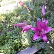 Валентина Цандыкова on My World.