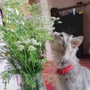 Елена Воробьёва (Беккер) on My World.