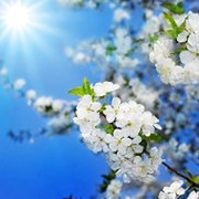 Е.В. Демина on My World.