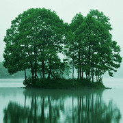 александр михайлов on My World.