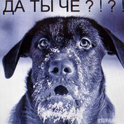 радик гиниятуллин on My World.
