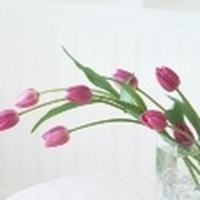 ольга евсеева on My World.