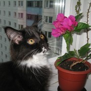 Михаил * on My World.