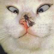 Юрий Ларионов on My World.