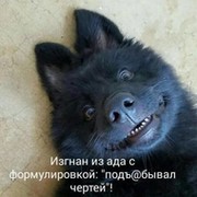 Николай Марков on My World.