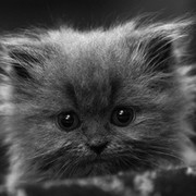 Наталья Соломатина on My World.