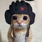 Русский! ZF on My World.