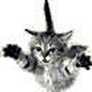 Malice _ on My World.