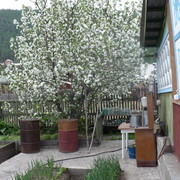 Александр Галецкий on My World.