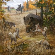 Віталій Савін on My World.