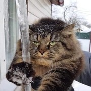 Наталья Шелестюк on My World.
