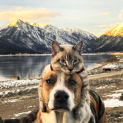 Наталья Кутырева on My World.
