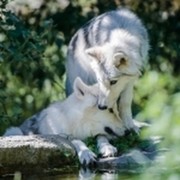 Станислава Давыдова on My World.