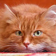 Евгений * on My World.