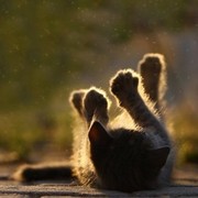 Неизвестно Неизвестно on My World.