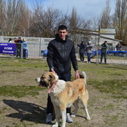 Андрей Цяпа в Моем Мире.