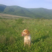 Иван Дуплищев on My World.