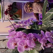 Валентина Ищук on My World.