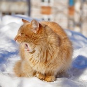 Владимир Ефремов on My World.